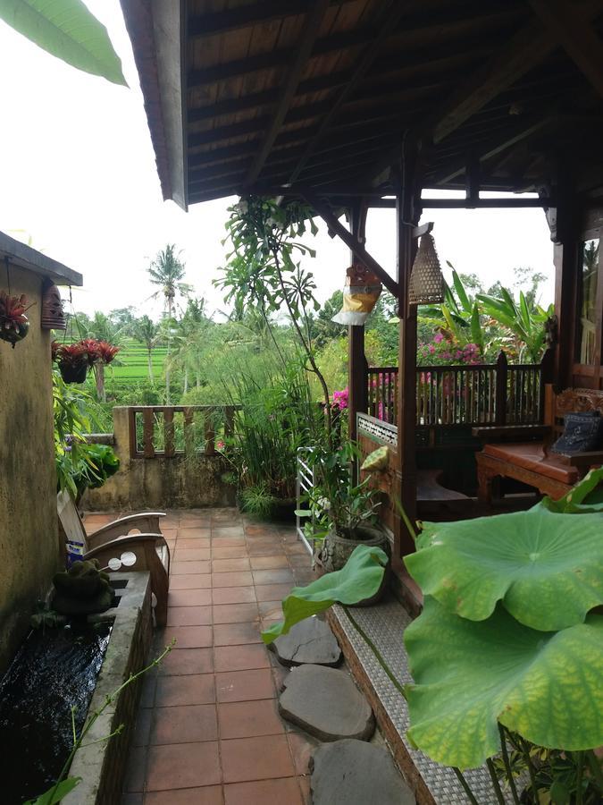 Ogek Home Stay Убуд Экстерьер фото